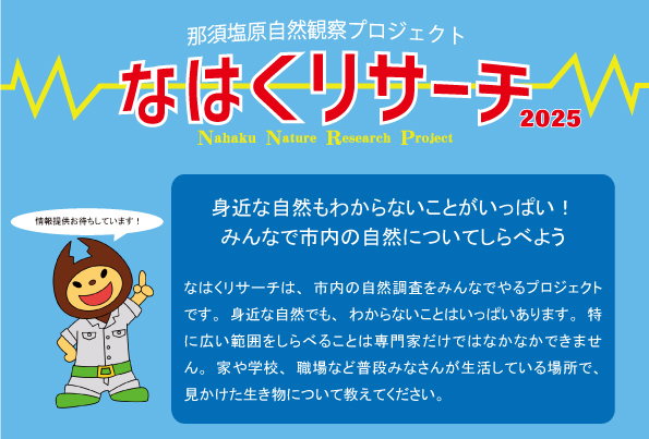 なはくリサーチ