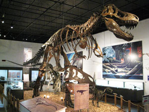 大恐竜展