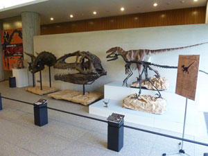 大恐竜展
