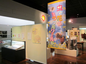 虫と花のミラクルワールド