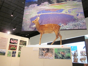 見つけに行こう　塩原の自然