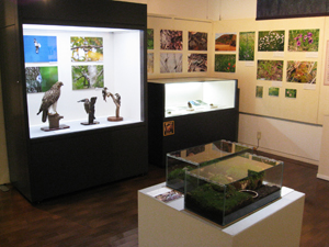 見つけに行こう　塩原の自然