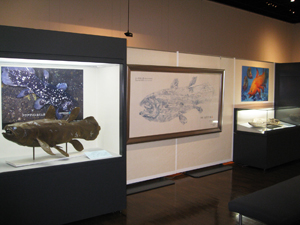 石の上にも３億年