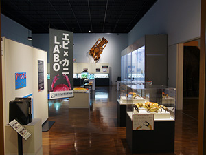 メナガガザミ栃木県立博物館蔵