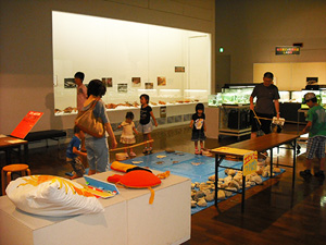 コモンヤドカリ栃木県立博物館蔵