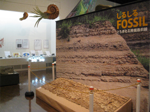 しるしるＦＯＳＳＩＬ