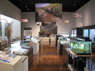 ―日本最大級の扇状地―那須野が原の自然