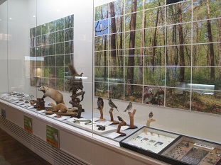 ―日本最大級の扇状地―那須野が原の自然