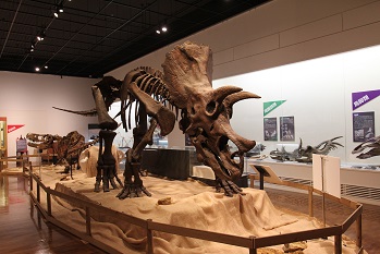 大恐竜展02