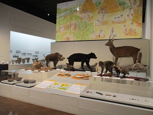 縄文クロスロード・槻沢01