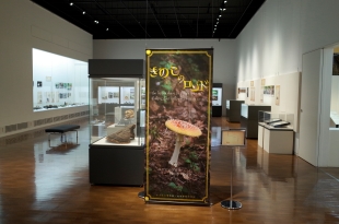 きのこのロンド01