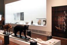 ひょうほんとものがたり01