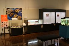 きれいな貝のふしぎな話02