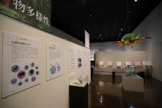 メッセージ－絶滅危惧種と外来種の現在－01