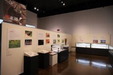 メッセージ－絶滅危惧種と外来種の現在－02