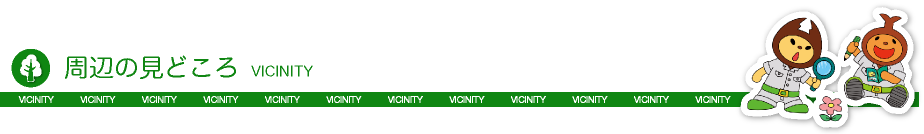 周辺の見どころ